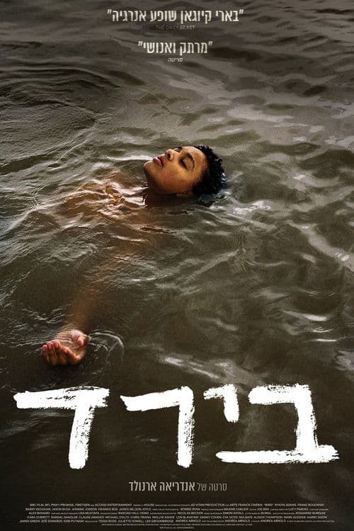 בירד